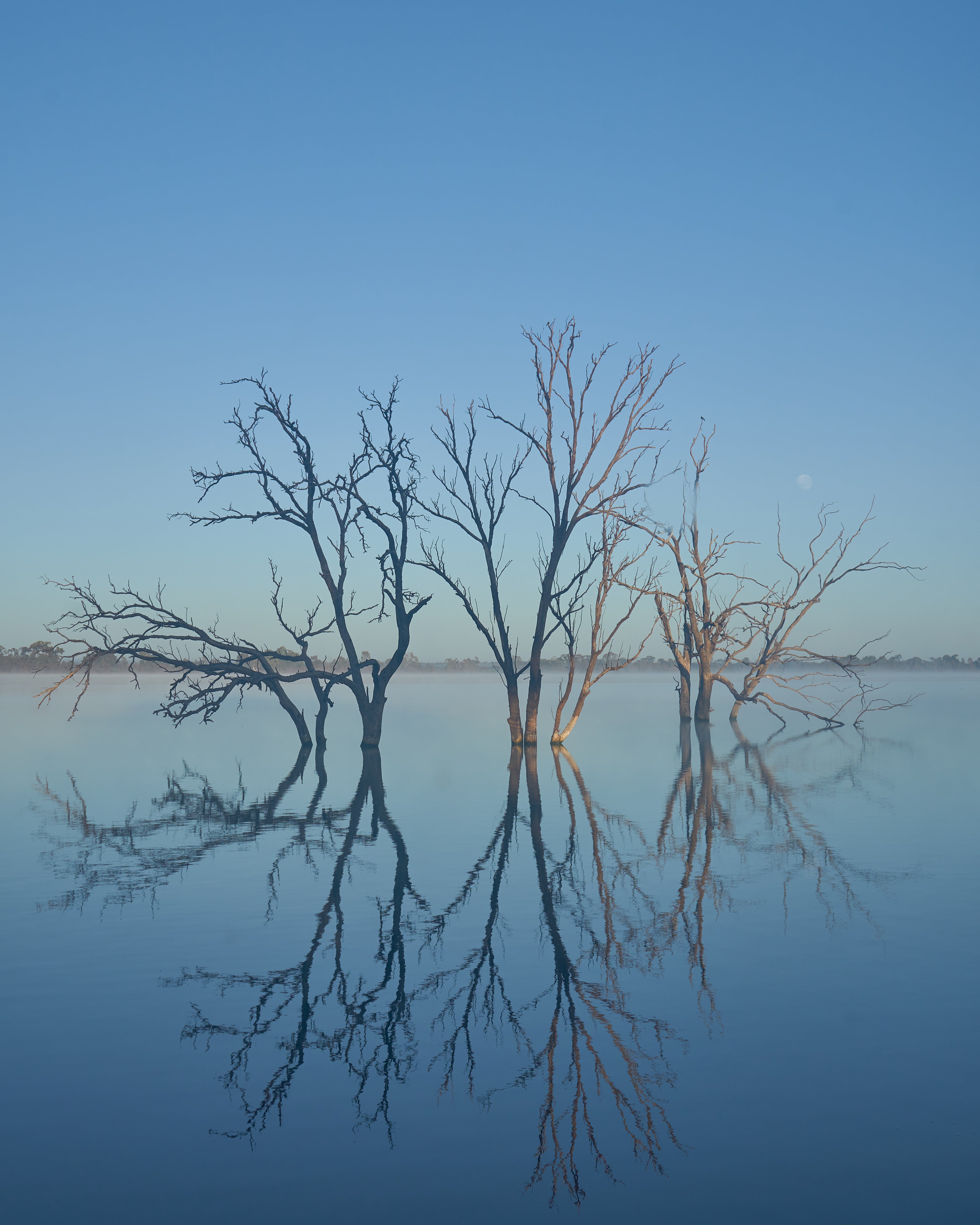 2026 YUMA THE GATHERING; UPDATED INFO COMING SOON