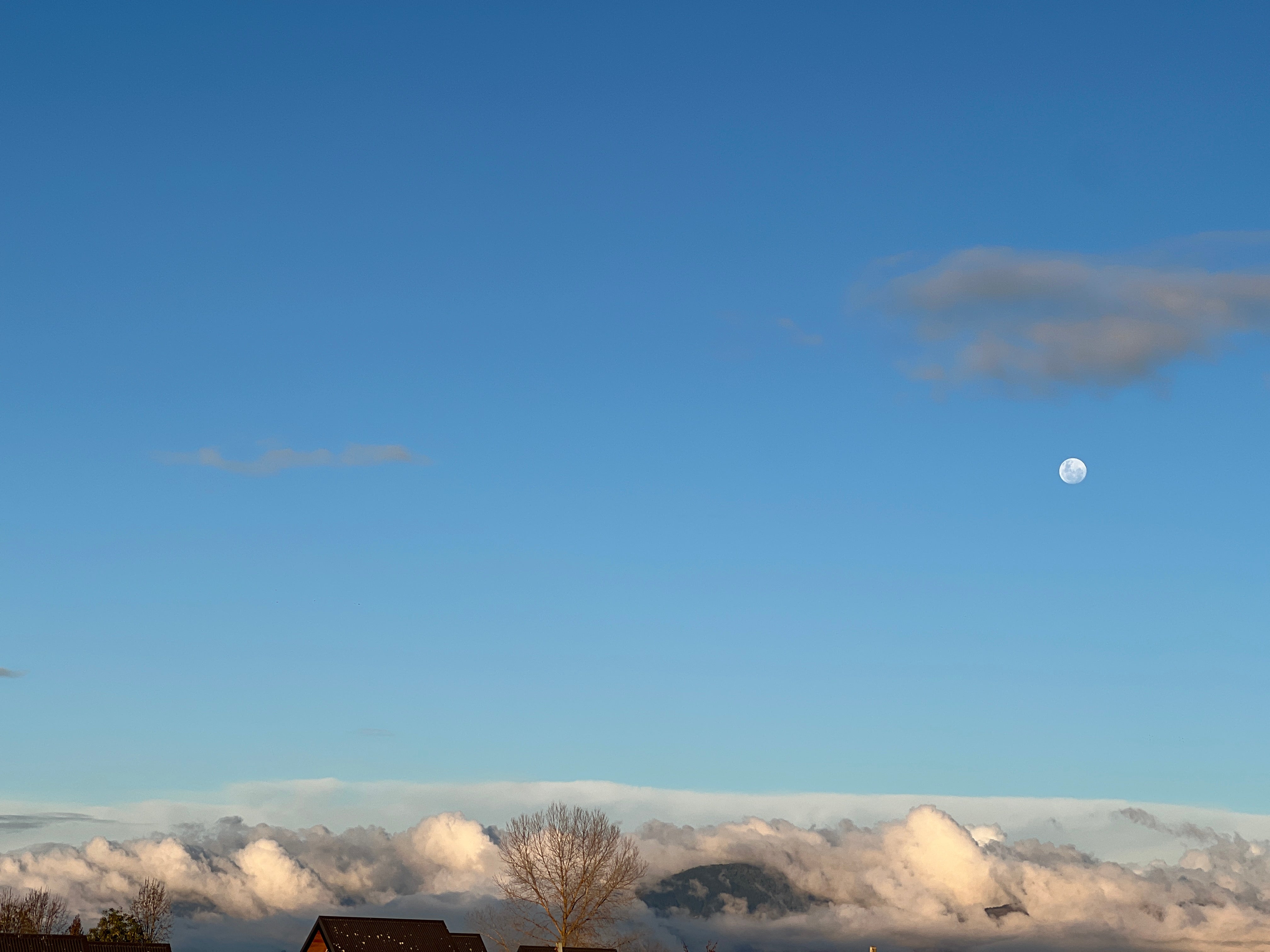 FUTURE ANCESTOR STORY WRITING WORKSHOP: 2ND DECEMBER 2026