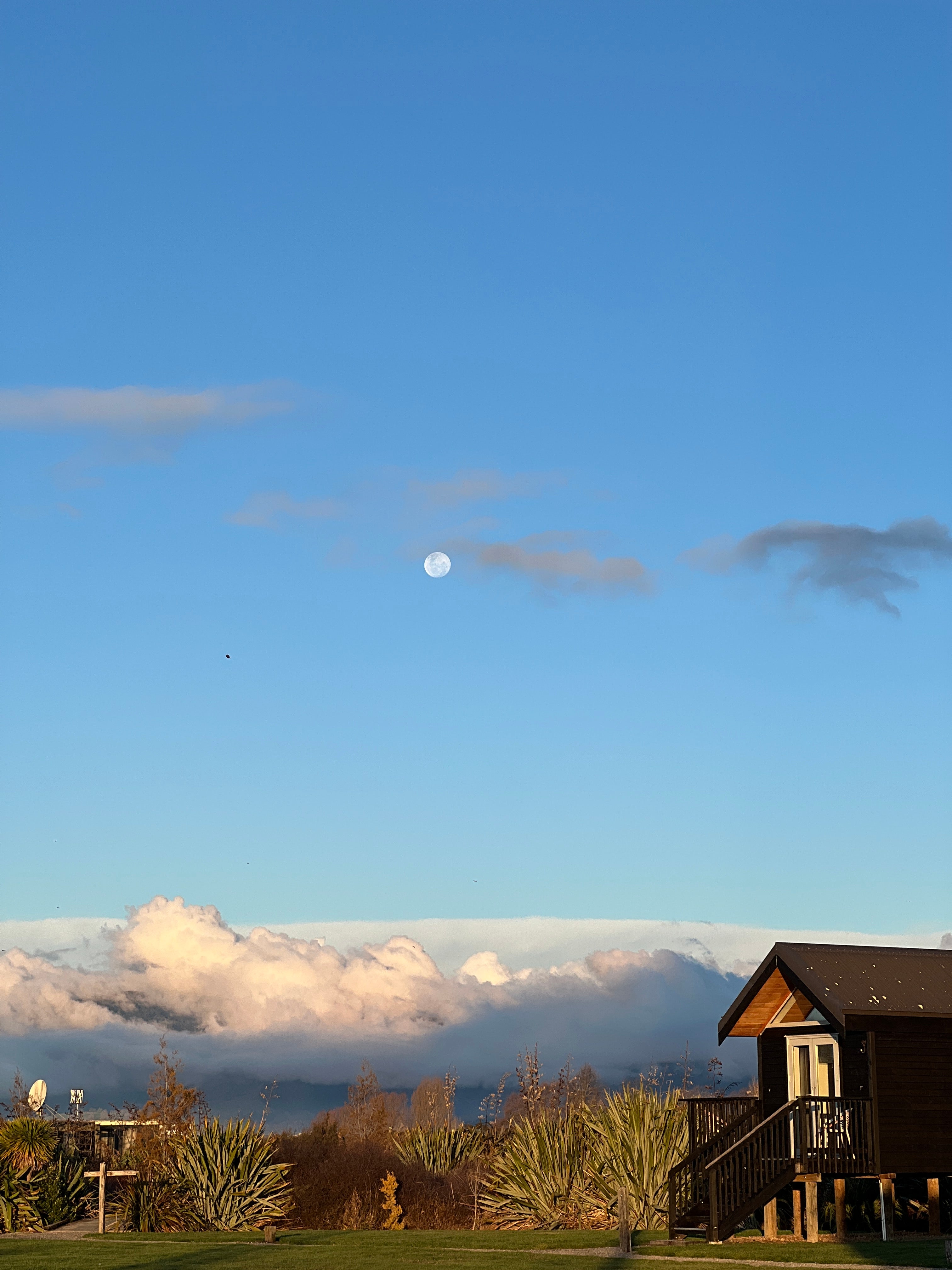 FUTURE ANCESTOR STORY WRITING WORKSHOP: 2ND DECEMBER 2026