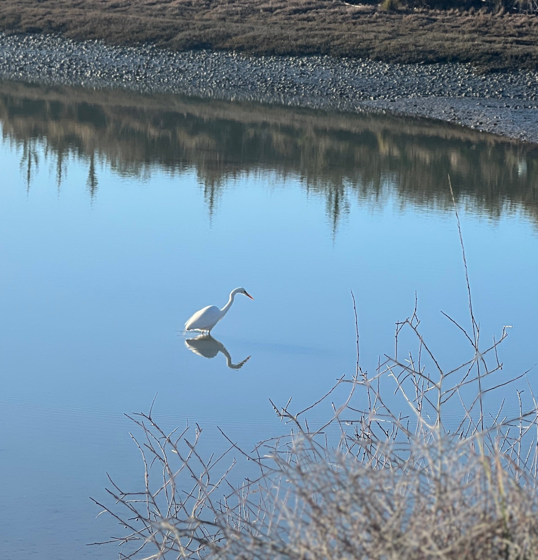 FUTURE ANCESTOR STORY WRITING WORKSHOP: 2ND DECEMBER 2026