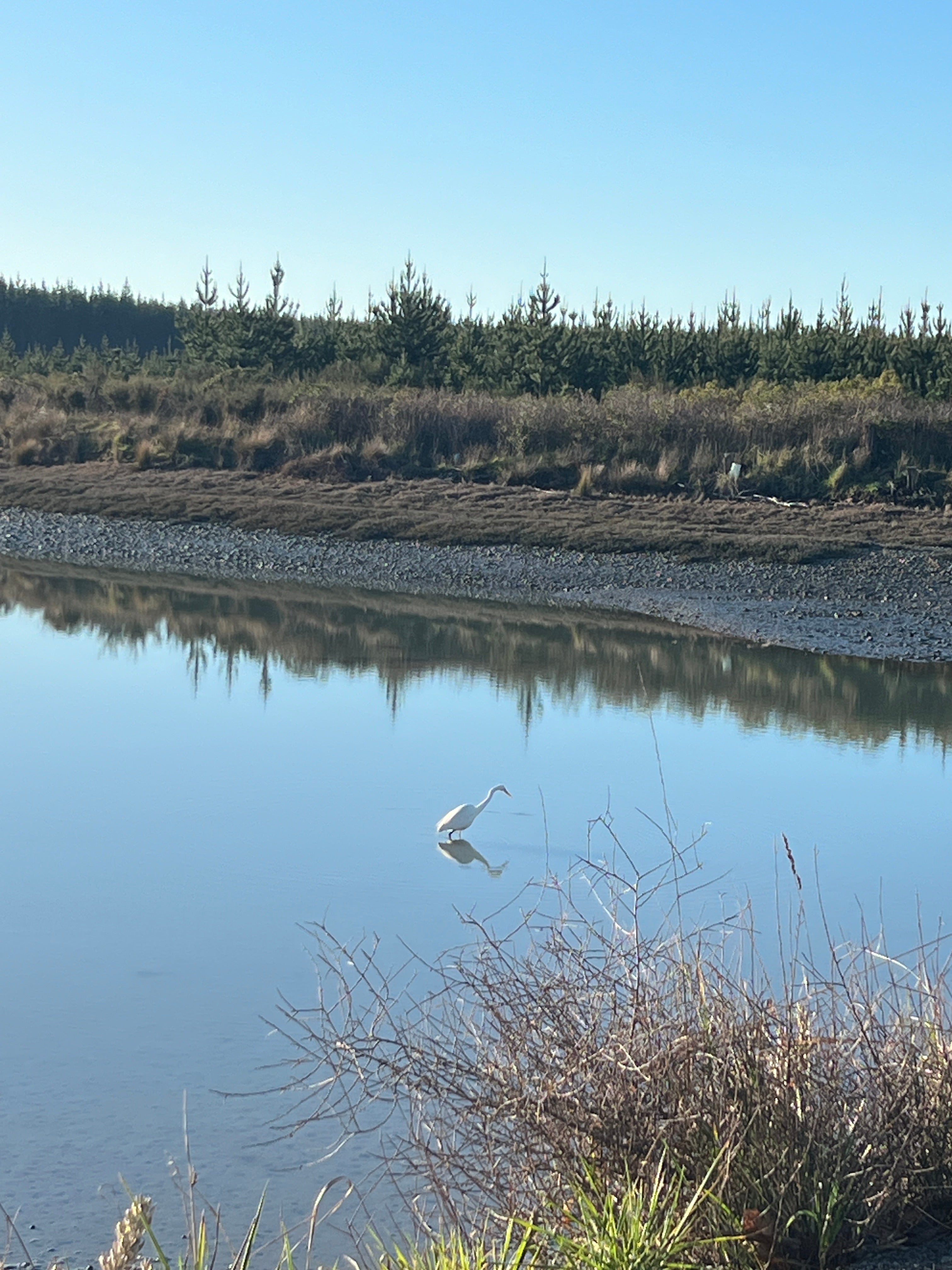 FUTURE ANCESTOR STORY WRITING WORKSHOP: 2ND DECEMBER 2026