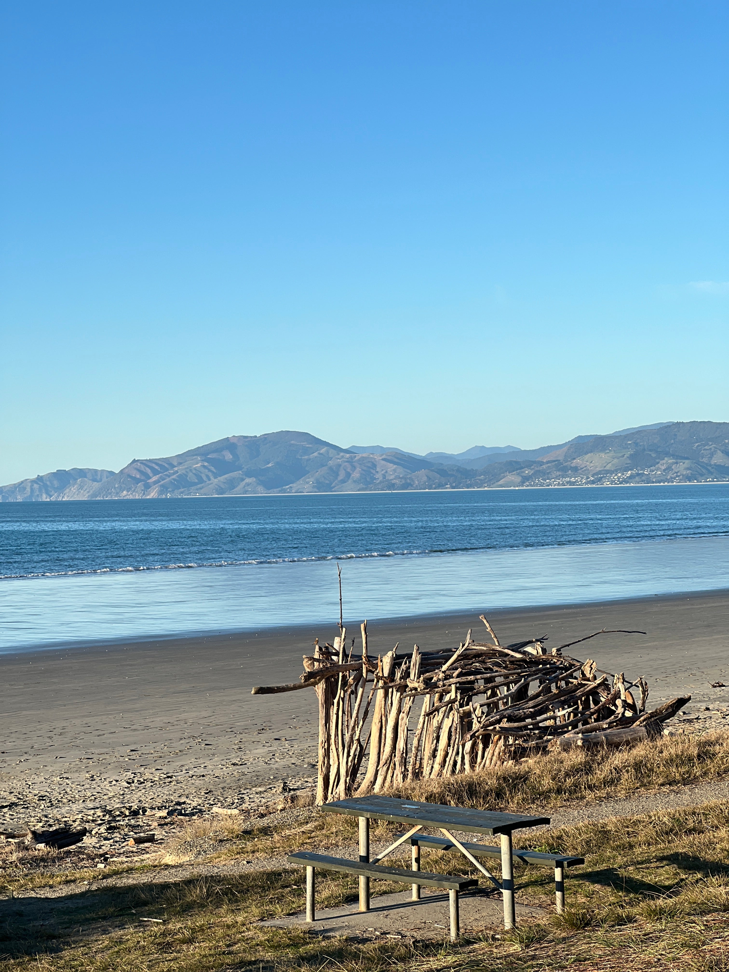 FUTURE ANCESTOR STORY WRITING WORKSHOP: 2ND DECEMBER 2026