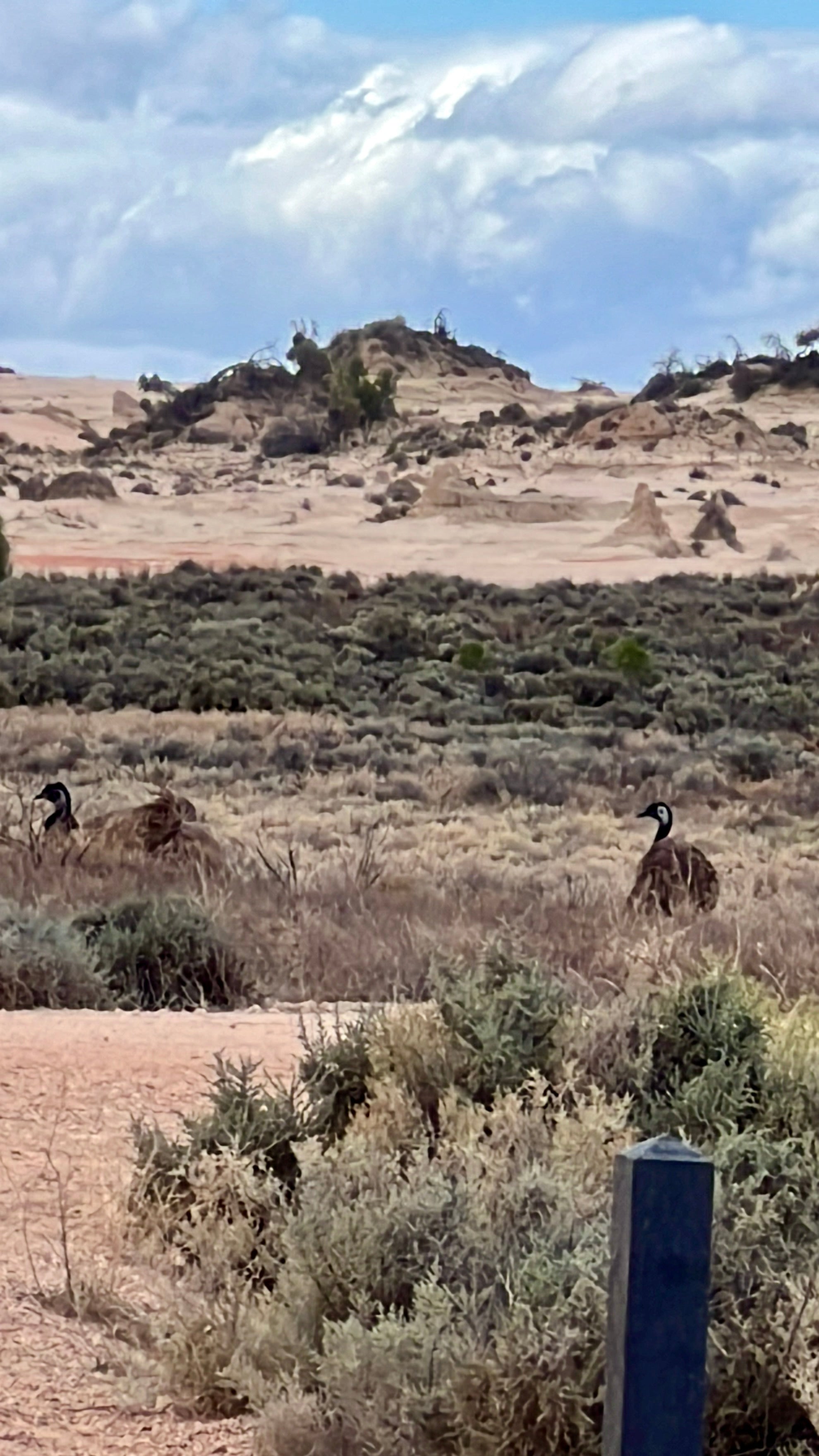 FUTURE ANCESTOR STORY WRITING WORKSHOP: 2ND DECEMBER 2026