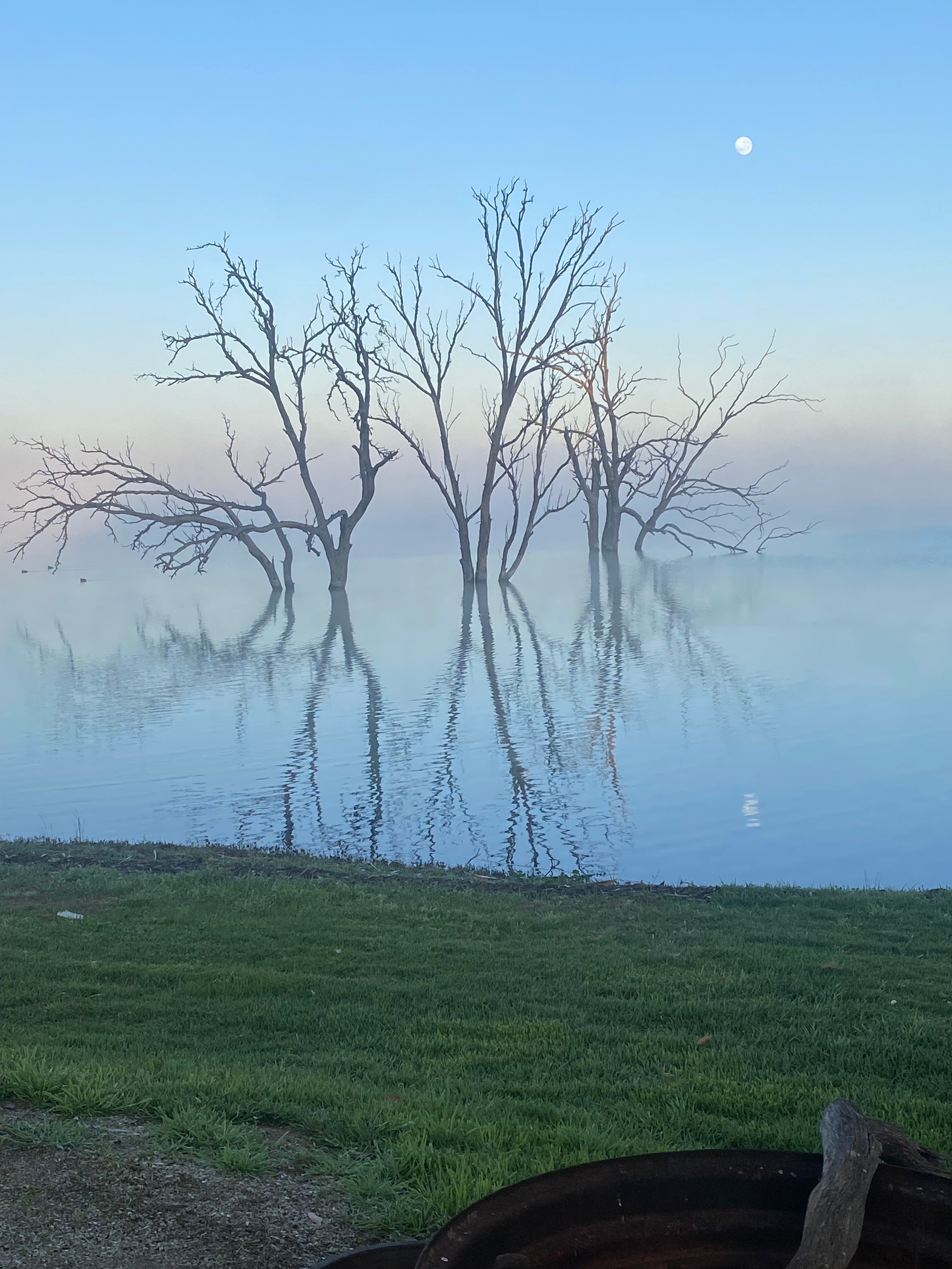 FUTURE ANCESTOR STORY WRITING WORKSHOP: 2ND DECEMBER 2026