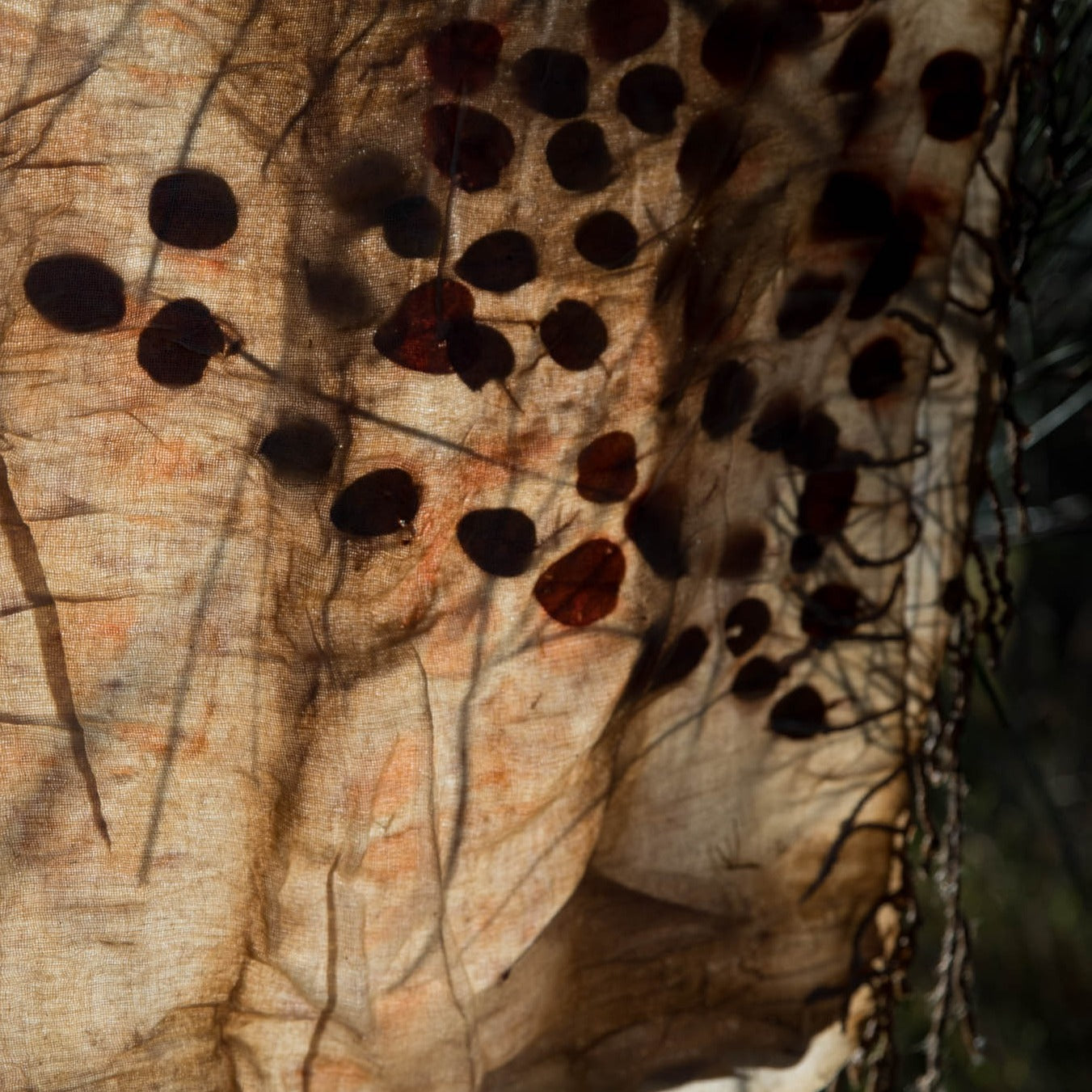 2026 YUMA THE GATHERING; UPDATED INFO COMING SOON