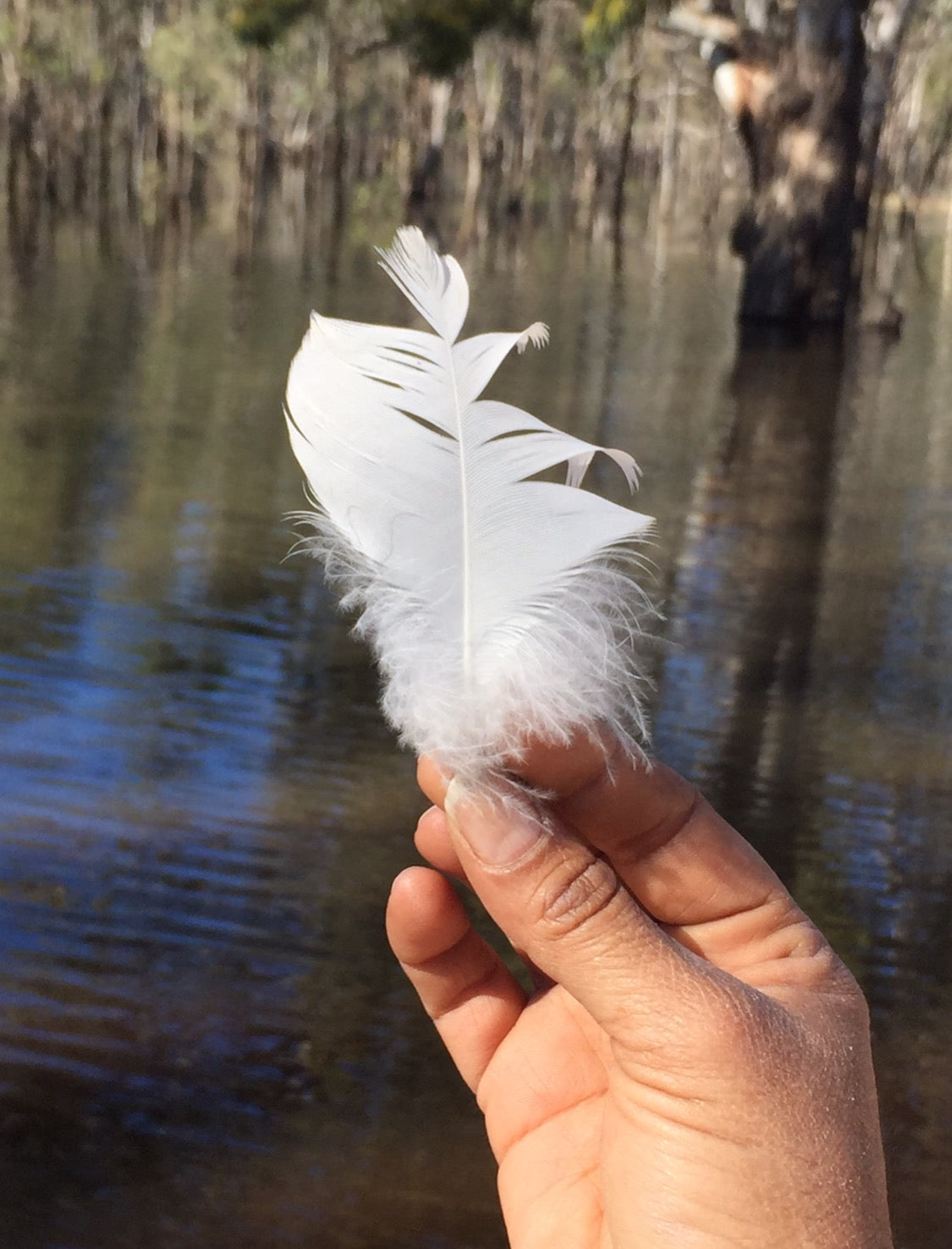 FUTURE ANCESTOR STORY WRITING WORKSHOP: 2ND DECEMBER 2026